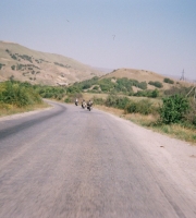 ������ 2003 ������ �����