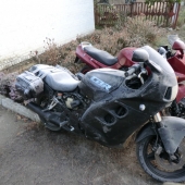 23.10.2011�������� ������ Barbarian MC ����� �������